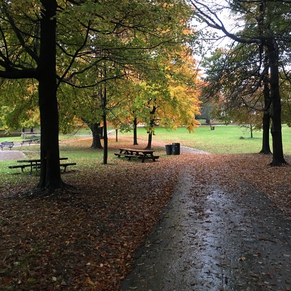 Meet your Posher, Imani - Picture 1 of 1